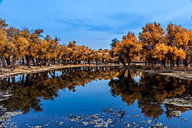 《洛克人X DiVE》离线版预购开启 9月1日发售